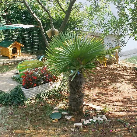 Studio 2285a Porec